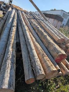 Brand new cedar posts 3-4-5-6- 8-inch. Copetown - Photo 5