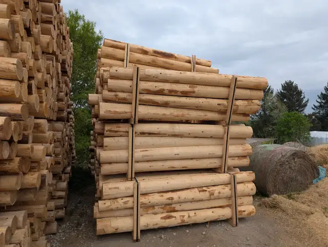 Brand new cedar posts 3-4-5-6- 8-inch. Copetown - Photo 6