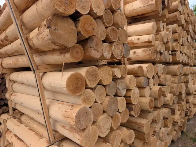 Brand new cedar posts 3-4-5-6- 8-inch. Copetown - Photo 7