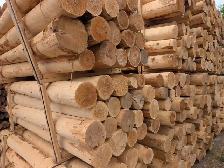 Brand new cedar posts 3-4-5-6- 8-inch. Copetown - Photo 7