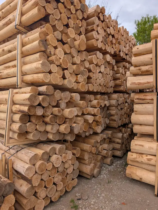Brand new cedar posts 3-4-5-6- 8-inch. Copetown - Photo 8