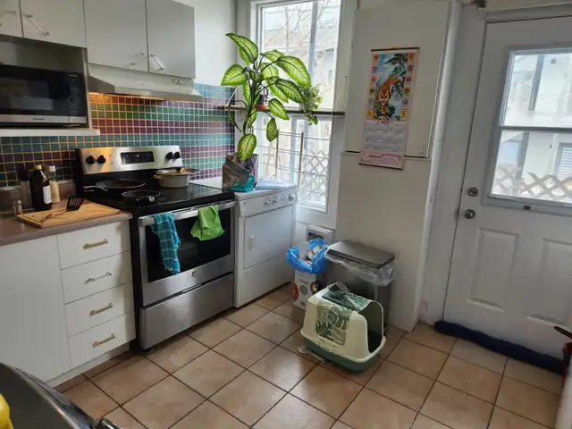 large 3 1/2   backyerd at downtown montreal logement for rent - Photo 2