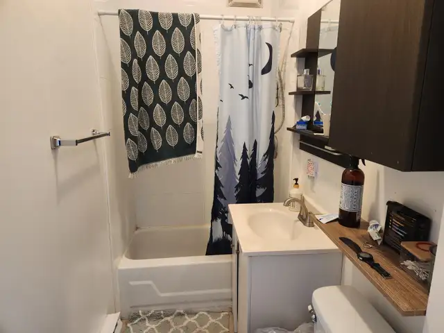 large 3 1/2   backyerd at downtown montreal logement for rent - Photo 3