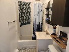 large 3 1/2   backyerd at downtown montreal logement for rent - Photo 3