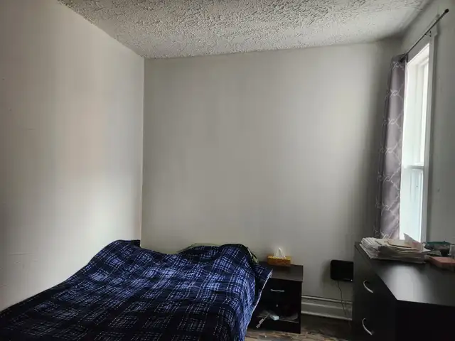 large 3 1/2   backyerd at downtown montreal logement for rent - Photo 4