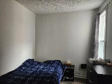 large 3 1/2   backyerd at downtown montreal logement for rent - Photo 4