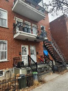 large 3 1/2   backyerd at downtown montreal logement for rent - Photo 5