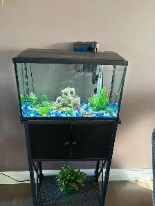 10 Gallons fish tank with fish, table and supplies for $160