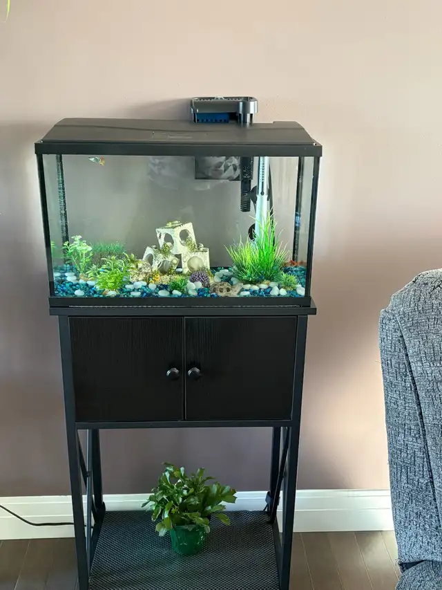 10 Gallons fish tank with fish, table and supplies for $160 - Photo 2
