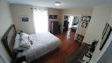 Dufferin Grove apartment in house, with two bedrooms, maybe 3! - Photo 4