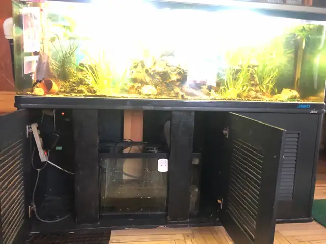 Aquarium  125 gallons