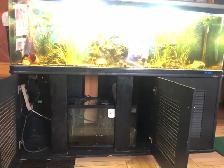 Aquarium  125 gallons