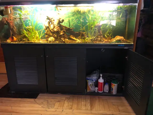 Aquarium  125 gallons - Photo 2