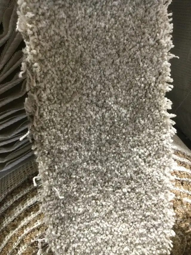 Made In Canada Carpet, 60oz, In stock, Two Colors $2.99 sq ft - Photo 2