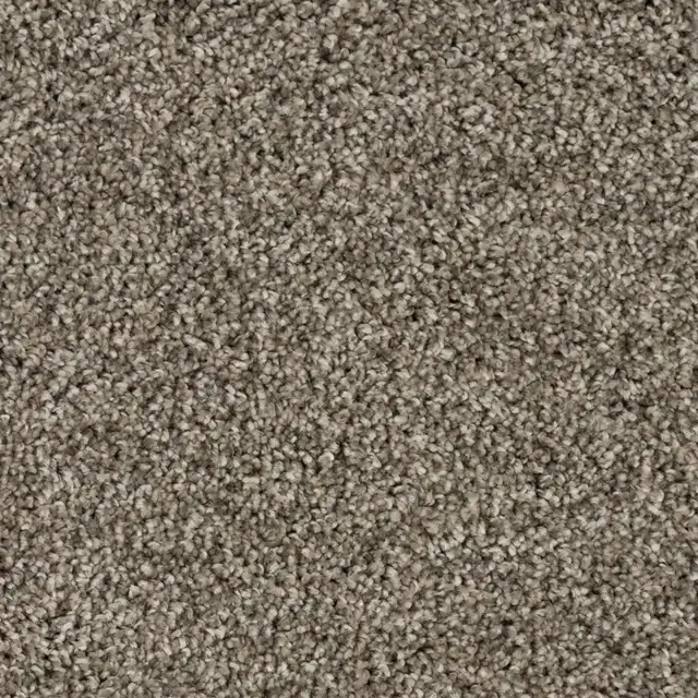 Made In Canada Carpet, 60oz, In stock, Two Colors $2.99 sq ft - Photo 3