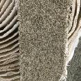 Made In Canada Carpet, 60oz, In stock, Two Colors $2.99 sq ft - Photo 4