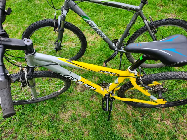 Adult Mountain Bikes For Sale - Photo 7