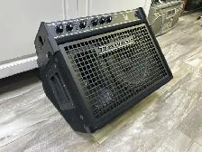 Traynor DW10 10" 200 Watt Combo Drum Amplifier