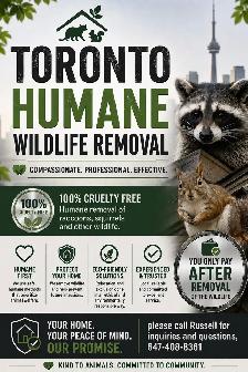 Toronto Humane Wildlife Removal