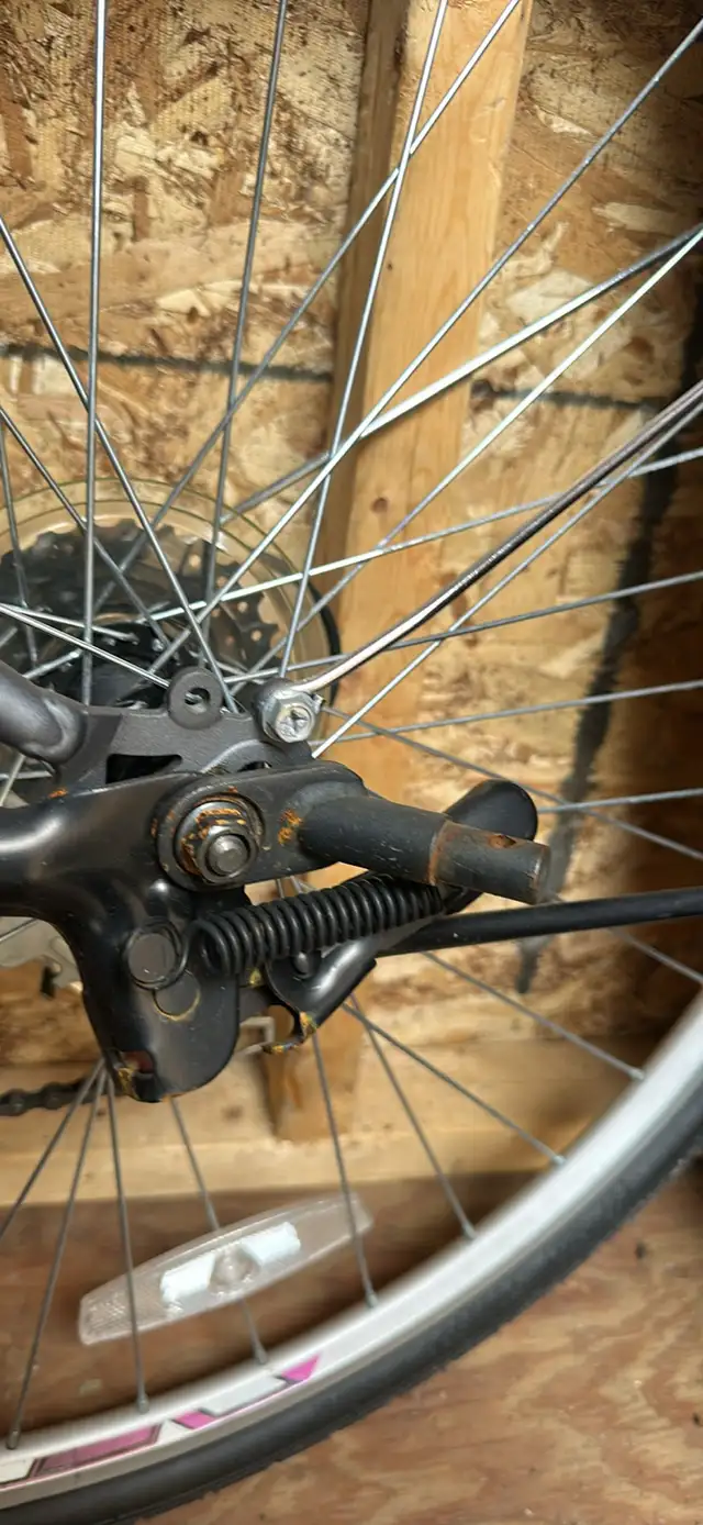 remorque double pour vélo - Photo 4