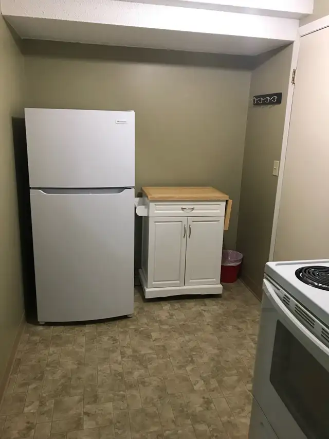 ONE BLOCK TO SASKPOLYTECH, 1 BDRM, 8 WEEK TENANCY - Photo 4