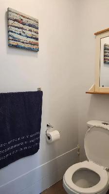 Chambre meublee bain prive-$760-Berri-Uqam-Room w private bath - Photo 5