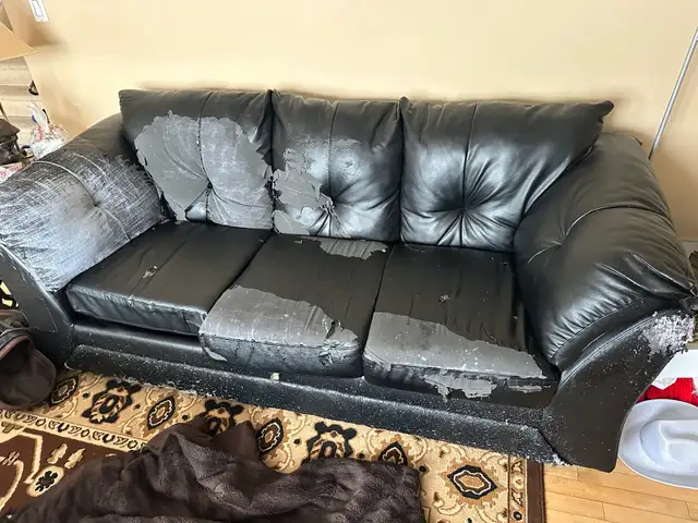 free couches - Photo 3