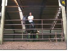 HiQual General Duty Livestock Gates