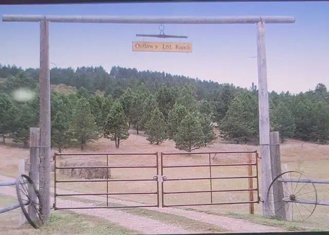 HiQual General Duty Livestock Gates - Photo 3