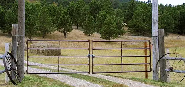 HiQual General Duty Livestock Gates - Photo 4