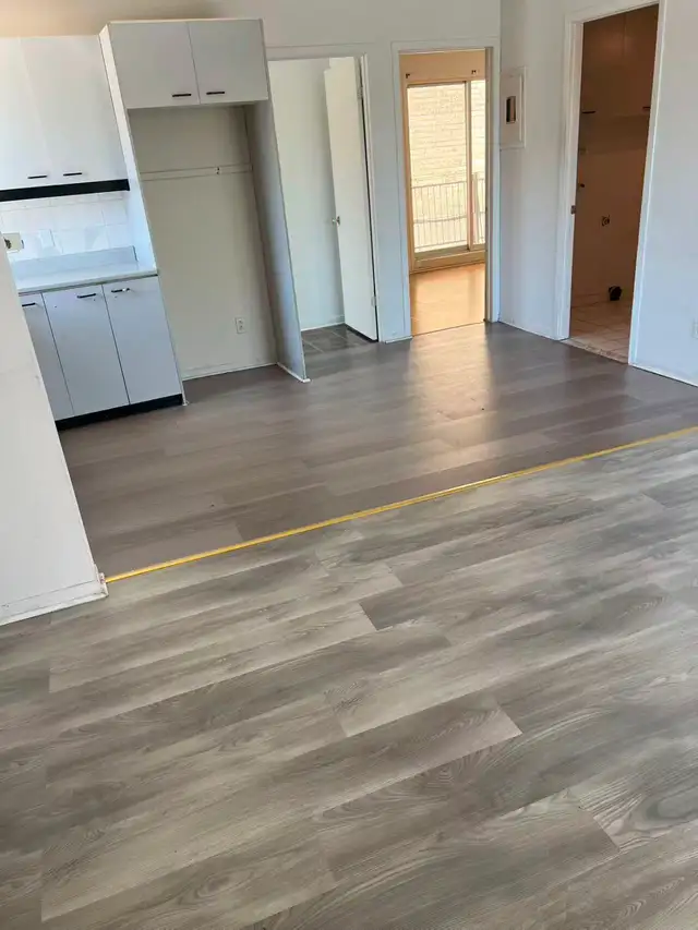 Grand 4 1 / 2, $1290/m, June 1，7721 Rue Lecourt (H1L3J6)