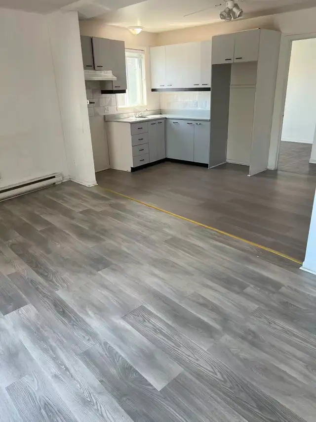 Grand 4 1 / 2, $1290/m, June 1，7721 Rue Lecourt (H1L3J6) - Photo 2