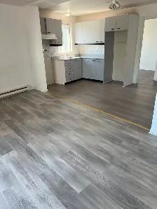 Grand 4 1 / 2, $1290/m, June 1，7721 Rue Lecourt (H1L3J6) - Photo 2