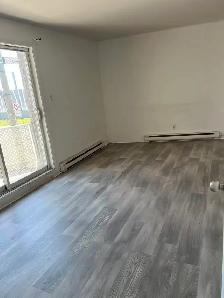 Grand 4 1 / 2, $1290/m, June 1，7721 Rue Lecourt (H1L3J6) - Photo 3