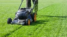 Weekly or one time yard services