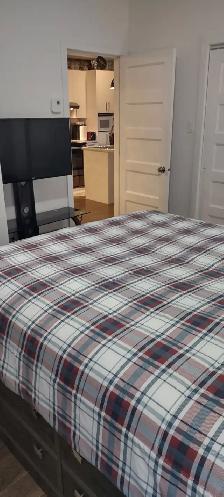 ROOM FOR RENT – AVAILABLE JULY 1 or AUG 1 - Photo 2