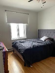 GRAND 4 1/2 : 900 pi², 1550$/mois, DISPONIBLE DES LE 1er JUILLET - Photo 9