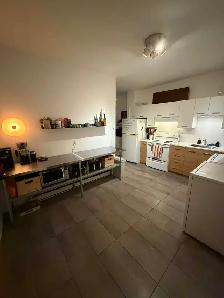 5 1/2 Apartment - Photo 3