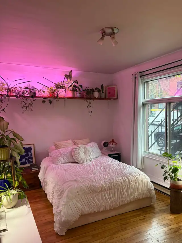 5 1/2 Apartment - Photo 6