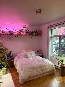 5 1/2 Apartment - Photo 6