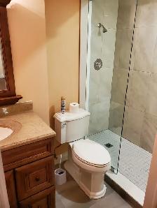 1 bedroom apt on the ground level (not a basement) - Etobicoke - Photo 6