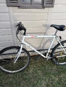 Adult Bike