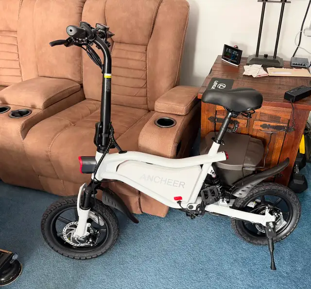 Adult Electric Bike