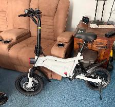 Adult Electric Bike