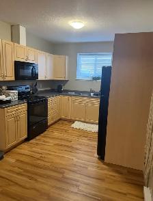Quality  2-Bedroom Suite with Private Driveway & 6 Applian - Photo 3