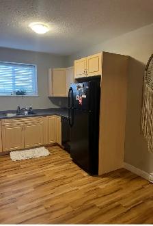 Quality  2-Bedroom Suite with Private Driveway & 6 Applian - Photo 4