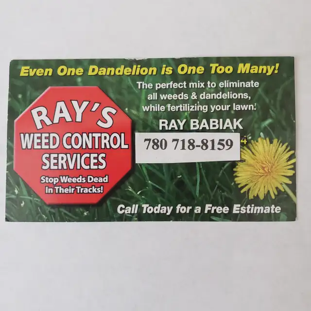 Dandelion DEAD! By Ray’s Weed Control Services - Photo 8