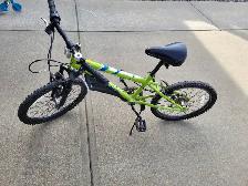 Kids mountain bike (20 inch wheels)