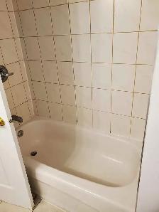 Room For Rent Ottawa South 1st June - Photo 6
