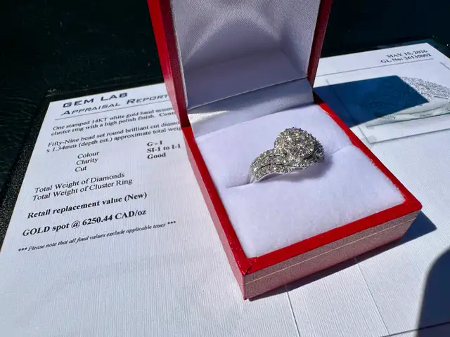 #832 - 14kt White Gold, 1.00 CTW Diamond Cluster Ring, Size 7